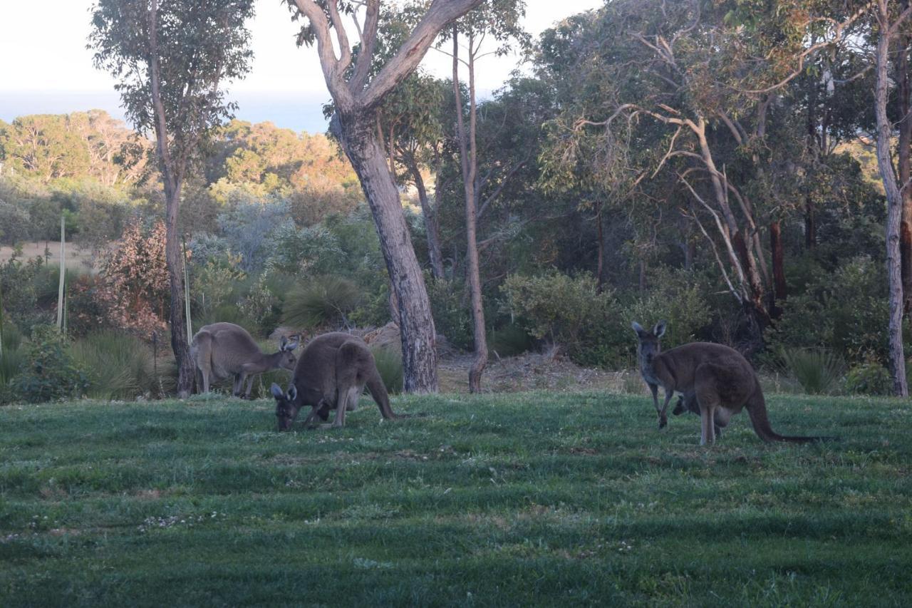 Eagle Bay House Bed & Breakfast Dunsborough Exterior foto